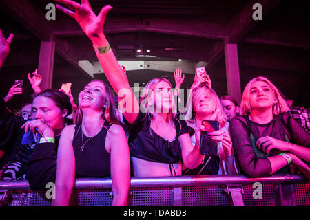 Copenhagen, Danimarca. Xiii Giugno, 2019. Danimarca Copenhagen - Jnue 13, 2019. Frequentatori del concerto di assistere a un concerto dal vivo con l'inglese indie rock band il 1975 a TAP1 in Copenhagen. (Photo credit: Gonzales foto/Alamy Live News Foto Stock
