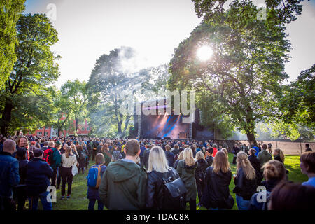 Oslo, Norvegia. Xiii Giugno, 2019. Norvegia, Oslo - Giugno 13, 2019. I frequentatori del festival assistere a un concerto dal vivo con l'inglese rock band i ciarlatani al Norwegian music festival Piknik mi Parken 2019 a Oslo. (Photo credit: Gonzales foto/Alamy Live News Foto Stock