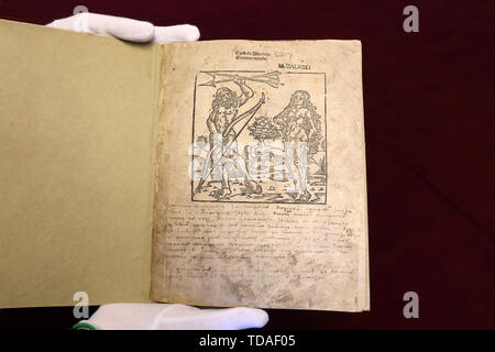 Rostock, Germania. Xiii Giugno, 2019. Robert Zepf, direttore mostra presso la biblioteca universitaria la pagina del titolo della prima edizione in folio di Mundus Novus di Amerigo Vespucci dal 1505, stampata da Rostock del segretario del consiglio di Hermann Barckhusen (c. 1460-1528/29). La straordinaria nuova acquisizione della Biblioteca universitaria sarà presentato ufficialmente il 14.06.2019. Credito: Bernd Wüstneck/dpa-Zentralbild/dpa/Alamy Live News Foto Stock