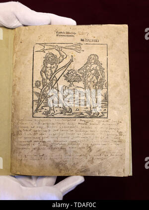 Rostock, Germania. Xiii Giugno, 2019. Robert Zepf, direttore mostra presso la biblioteca universitaria la pagina del titolo della prima edizione in folio di Mundus Novus di Amerigo Vespucci dal 1505, stampata da Rostock del segretario del consiglio di Hermann Barckhusen (c. 1460-1528/29). La straordinaria nuova acquisizione della Biblioteca universitaria sarà presentato ufficialmente il 14.06.2019. Credito: Bernd Wüstneck/dpa-Zentralbild/dpa/Alamy Live News Foto Stock