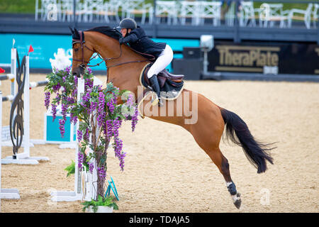 Tattenhall, Cheshire, Regno Unito. 14 Giugno, 2019. Vincitore. Angela Thompson riding Fremont VDL. GBR. CSI2*.1.40m. Showjumping. Scudiero Bolesworth International Horse Show. Tattenhall. Cheshire. Regno Unito. GBR. 14/06/2019. Credito: Sport In immagini/Alamy Live News Foto Stock