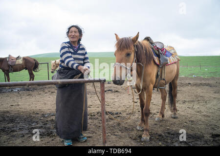 Sanke Gannan prairie Foto Stock