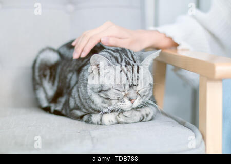 Daily café, ritratto di poco tempo. Foto Stock