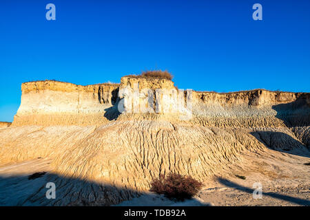 Il paesaggio della Terra Foresta Foto Stock