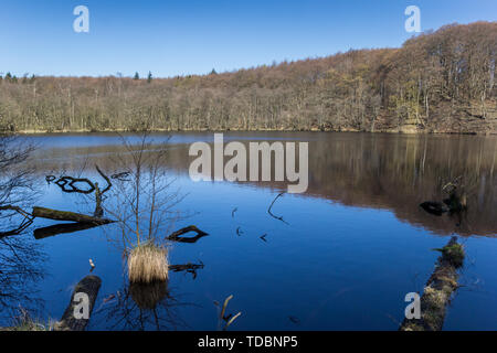 Lago Herthasee nel Jasmund National Park sulla isola di Rügen, Germania Foto Stock