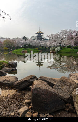 East Lake Cherry Garden, Wuhan Foto Stock