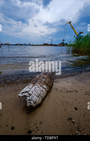 Nuvole temporalesche formando nel corso verde prato pascolo dal fiume il 13 giugno 2019. Riga, Lettonia Foto Stock