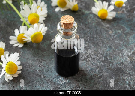 Una bottiglia di colore blu scuro tedesco camomilla olio essenziale e rigogliosa pianta Foto Stock