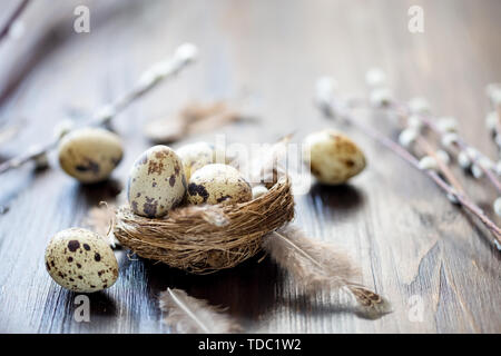 Uova di quaglia, piume, i rami di salici su un tavolo di legno. Effetto Vintage il fuoco selettivo Foto Stock