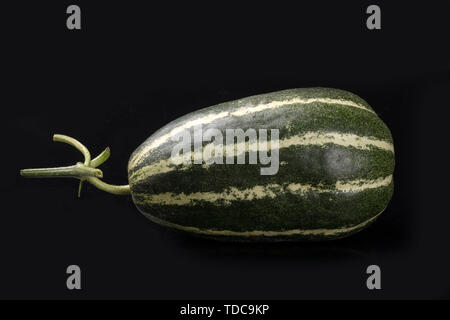 Boyang 9 melone. Foto Stock