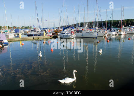 Marina e Jezioro Mikolajskie (Lago Mikolajskie) in Mikolajki, Polonia. 3 luglio 2008 © Wojciech Strozyk / Alamy Stock Photo Foto Stock