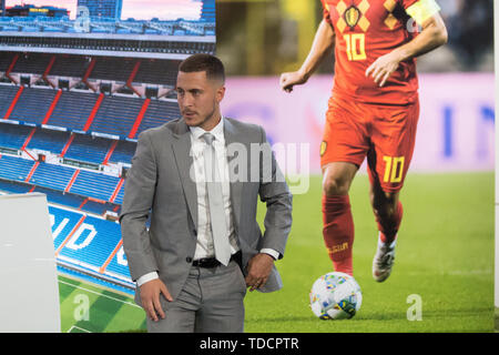 Madrid, Spagna. Xiii Giugno, 2019. Pericolo di Eden. Credito: Jorge Gonzalez/Pacific Press/Alamy Live News Foto Stock