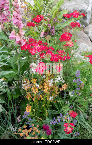 Elementi di Sheffield giardino disegnato da Emily Barnes alla RHS Chatsworth flower show 2019. Chatsworth, Derbyshire, Regno Unito Foto Stock