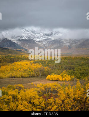 I colori dell'autunno in Waterton Lakes Nationalpark, Alberta, Canada Foto Stock