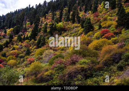 Autunno scenario di montagna Mengpen Foto Stock