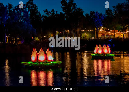 Orlando, Florida. Aprile 29, 2019. Fiumi di luce Siamo uno Show nel regno animale presso il Walt Disney World Foto Stock