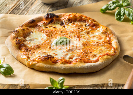 In casa tradizionale pizza napoletana con formaggio e basilico Foto Stock