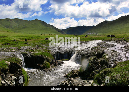 Gannan Sankoh Prairie Dagu Beach Prairie Foto Stock