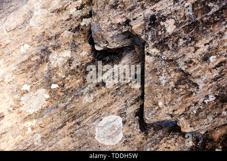 I licheni sulla roccia macro sfondo estrema arte in stampe di alta qualità prodotti Foto Stock