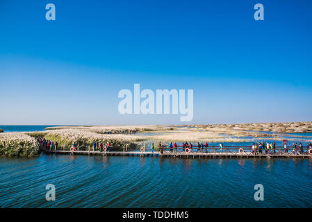 Banner Ejina Juyanhai, Alashan League, Mongolia interna Foto Stock