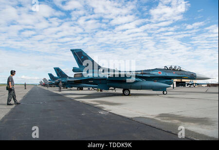 Japan Air Forze di autodifesa membri standby per volo durante la bandiera rossa-Alaska 19-2 a Eielson Air Force Base in Alaska, 11 giugno 2019. RF-Un è un annuale U.S. Pacific Air Forces field training esercizio per gli Stati Uniti e le forze internazionali per migliorare la lotta contro la disponibilità di gruppi di partecipanti. (U.S. Air Force foto di Senior Airman Kristen Heller) Foto Stock