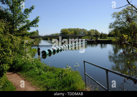 Vista sul fiume Ouse, alla grande Barford, Bedfordshire Foto Stock
