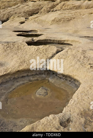 Piccoli fori o piscine di acqua formata in calcare beige a costa di Gozo, Malta. Foto Stock