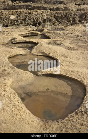 Piccoli fori o piscine di acqua formata in calcare beige a costa di Gozo, Malta. Foto Stock