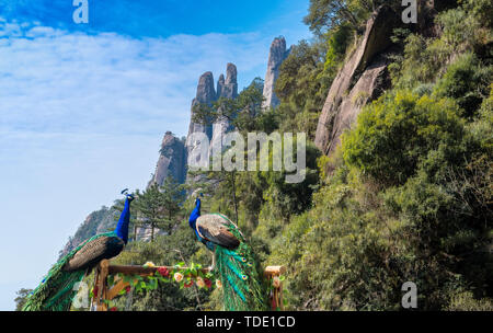 Sanqing paesaggio di montagna Foto Stock