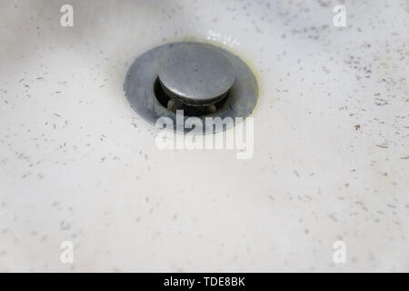Bianco sporco lavaggio bacino dissipatore che mostra una schifezza svuotare con le punte dei capelli. Il tappo è un brutto sporco disgustoso lordo chrome in acciaio inox della materia Foto Stock