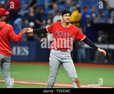 Los Angeles Angeli designati hitter Shohei Ohtani reagisce dopo la Major League Baseball gioco contro Tampa Bay Rays a Tropicana in Campo San Pietroburgo, Florida, Stati Uniti, 13 giugno 2019. Credito: AFLO/Alamy Live News Foto Stock