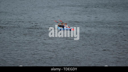 Berlino, Germania. Il 15 giugno, 2019. Rematori sono sulla Sprea non lontano dal Oberbaumbrücke. Credito: Paolo Zinken/dpa/Alamy Live News Foto Stock