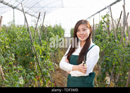 Giovane bella donna asiatica lavora nel campo verde Foto Stock