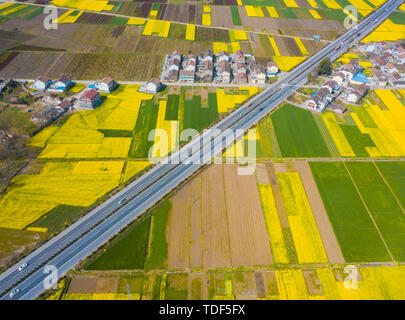 National Highway 108 attraverso Hanzhong olio di colza Foto Stock