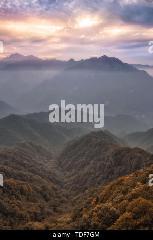 Fotografato in Xiangyu Forest Park, Qinling Foto Stock