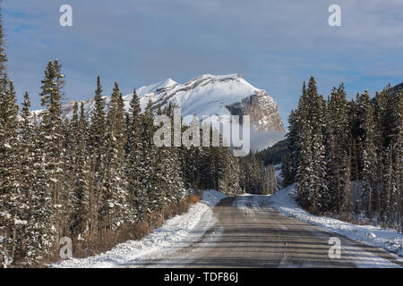 Strada di ghiaia in Spray Valle dei Laghi del Parco Provinciale, inverno, montagna, Canmore, Alberta, Canada Foto Stock