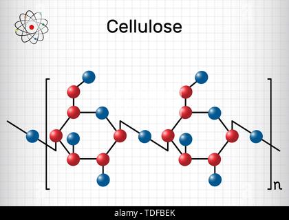 Cellulosa molecola di polisaccaride. Foglio di carta in una gabbia. Formula chimica di struttura. Illustrazione Vettoriale Illustrazione Vettoriale