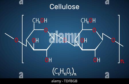 Cellulosa molecola di polisaccaride. Formula chimica di struttura su sfondo blu scuro. Illustrazione Vettoriale Illustrazione Vettoriale