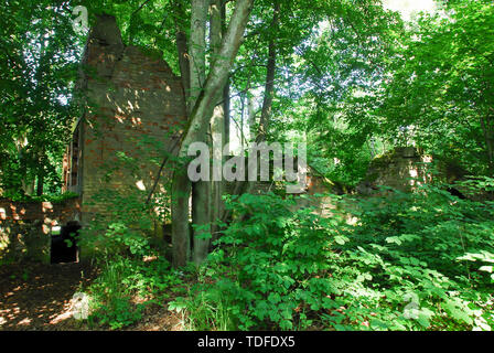 Reichssicherheitsdienst RSD (Reich Security Service) command center in Wolfsschanze (Wolf's Lair) in Gierloz, Polonia. Il 4 luglio 2008, è stato uno di Führer Foto Stock