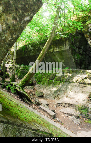 Martin Bormann personale di Air Raid Shelter in Wolfsschanze (Wolf's Lair) in Gierloz, Polonia. Il 4 luglio 2008, è stato uno dei Führerhauptquartier (Führer Hea Foto Stock