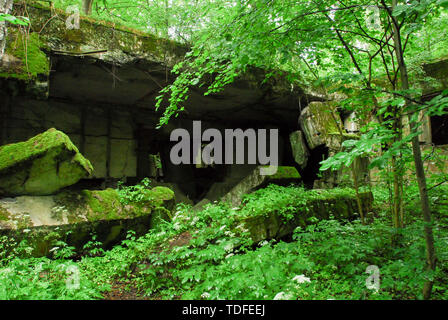 Quarti di Reich Ministro degli armamenti e la Produzione Bellica Fritz Todt, poi Albert Speer, in Wolfsschanze (Wolf's Lair) in Gierloz, Polonia. Il 4 luglio 2 Foto Stock