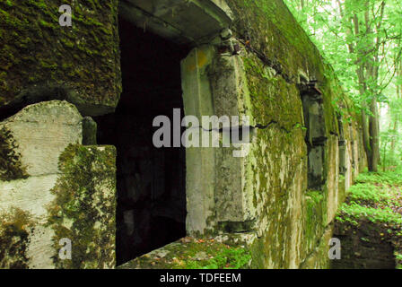 Uffici di Oberkommando der Luftwaffe OKL (alto comando della Air Force) nella Wolfsschanze (Wolf's Lair) in Gierloz, Polonia. Il 4 luglio 2008, è stato uno dei Foto Stock