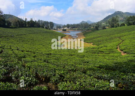 Fiume Meghamalai e alte montagne ondulate Foto Stock