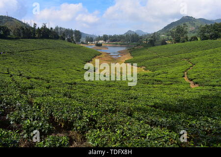 Fiume Meghamalai e alte montagne ondulate Foto Stock