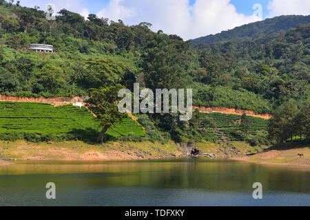 Fiume Meghamalai e alte montagne ondulate Foto Stock