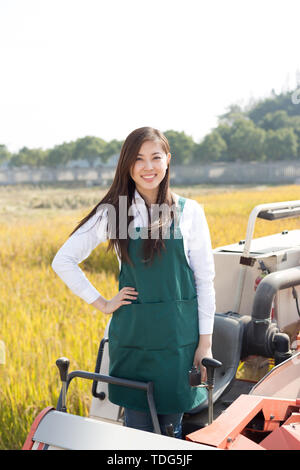 Giovane donna cinese agonomist in golden campo di cereali con piccole harvester Foto Stock