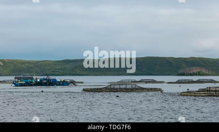 Una vista di salmone penne e un servizio pontoon in macquarie Harbour sulla costa occidentale della Tasmania, Australia Foto Stock