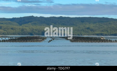 Una vista di salmone atlantico penne di Macquarie Harbour sulla costa occidentale della Tasmania, Australia Foto Stock