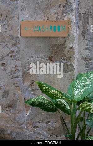 Bellissima Dieffenbachia pianta posta di fronte a un vecchio muro sfondo con un lavatoio segno su di esso Foto Stock