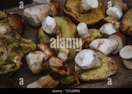 Mix di funghi nel cesto Foto Stock